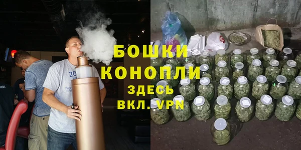 гидра Кодинск