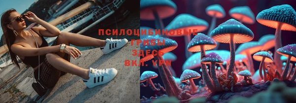Альфа ПВП Медногорск