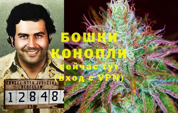 Альфа ПВП Медногорск